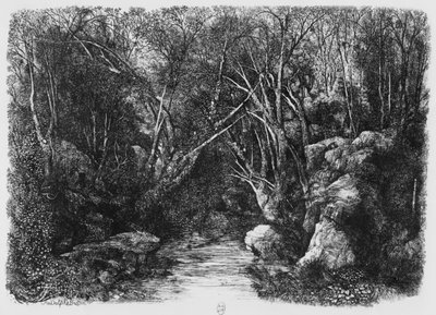 Il ruscello tra gli alberi, 1880 da Rodolphe Bresdin